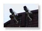Two Canopy Cameras
